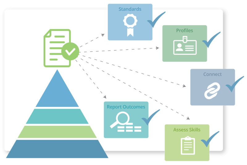 Professional and Practice Standards